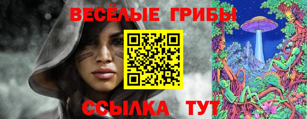 Псилоцибиновые грибы GOLDEN TEACHER Саки