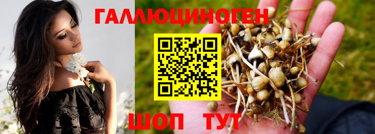 Псилоцибиновые грибы Psilocybe  Галлюциногенные грибы прущие грибы  Вход с VPN  Саки 